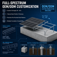 Système de montage au sol pour panneaux solaires de 2 MW personnalisable avec poteaux à vis de terre en acier Zn-Al-Mg, système de fixation PV à double poteau