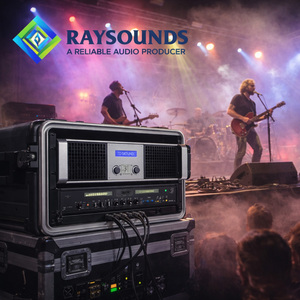 Raysounds Professioneller Leistungsverstärker 7016 2X1600W 3U Metall-Audioverstärker 8/4/2 Hochleistungs-PA Fabrik OEM - Product Image 4