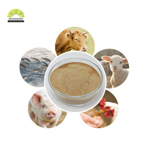 <span class=keywords><strong>Probióticos</strong></span> Bacillus Subtilis/Bacillus Licheniformis para Aves de Corral, 100 Mil Millones de UFC/g, Polvo Probiótico Animal, CAS 68038-66-4 - Product Image 3
