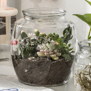 Aquarium rond de bureau Kilner (Royaume-Uni) de 850 ml pour poissons Betta, en verre épais, petit aquarium domestique pour poissons rouges - Product Image 3