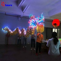 Lumière LED Équipement de danse du dragon Costume de danse du dragon Danse du dragon traditionnelle chinoise Performance du soir