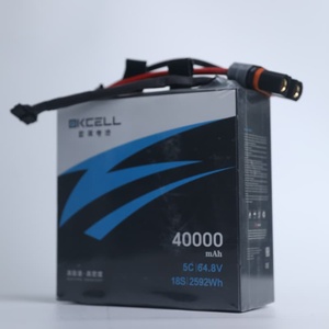 Paket Baterai Drone Profesional 18S 40Ah 5C dengan BMS Cerdas - Dibuat untuk UAV Pemetaan & Inspeksi - Product Image 6