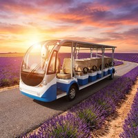 Bus de tourisme électrique 20 places, batterie lithium 5000W 72V, style voiturette de golf, bus ouvert, 30 km/h, autonomie 100-110 km