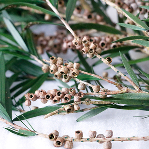 ดอกไม้แห้งประดับ<span class=keywords><strong>พระ</strong></span>พุทธรูป <span class=keywords><strong>ช่อ</strong></span>ดอกไม้แห้งทำมือ ของตกแต่งบ้าน วัสดุ DIY สำหรับวันวาเลนไทน์ วันคริสต์มาส ใช้งานได้ยาวนาน - Product Image 3