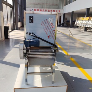 Pelatrice d'Aglio Durevole ed Economica da 300kg/h Diller <span class=keywords><strong>Surat</strong></span> con Inverter - Product Image 3