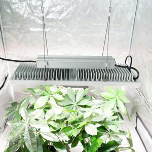 ระบบบัลลาสต์อิเล็กทรอนิกส์ความถี่สูง 600W ปรับความสว่างได้ สำหรับปลูกพืชในร่ม คุณภาพเชื่อถือได้ - Product Image 6