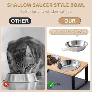 Vente en gros de bols surélevés <span class=keywords><strong>pour</strong></span> <span class=keywords><strong>chat</strong></span>, support incliné à 15 °, plats surélevés <span class=keywords><strong>pour</strong></span> nourriture et eau <span class=keywords><strong>pour</strong></span> <span class=keywords><strong>chat</strong></span>, <span class=keywords><strong>anti</strong></span>-<span class=keywords><strong>vomissement</strong></span>, avec 2 bols en acier inoxydable - Product Image 6