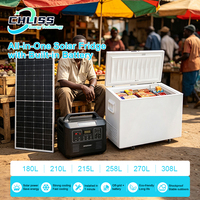 Congélateur solaire 258L à ouverture par le haut, tension automatique DC 12V 24V, idéal pour la conservation de la viande hors réseau dans les fermes brésiliennes