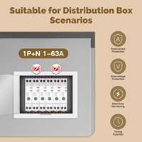 Disjoncteur intelligent MOES Tuya Zigbee 63A avec réglage de seuil d'alarme, moniteur d'électricité V0, ignifuge, contrôle par application Alexa E544