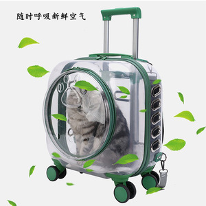 Sac de transport transparent pour animaux de compagnie avec roulettes, pour petits chiens et chats, approuvé par les compagnies aériennes, forme carrée, capacité 7500 - Product Image 3