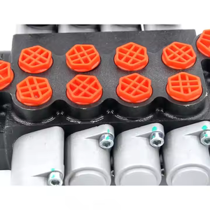 Válvula de Control Direccional Personalizable P40-G12-G38-3OT-OTW, Directo de Fábrica, Piezas para Maquinaria de Construcción - Product Image 3