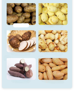 Machine industrielle automatique de pelage, découpe, tranchage et hachage de légumes pour pommes de terre, aubergines et plus, machine à peler l'ail pour l'industrie - Product Image 2