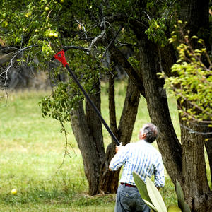 Máquina recogedora de frutas extensible eléctrica Componentes centrales Motor Herramienta de cosecha de aceitunas eficiente Máquina recogedora de aceitunas - Product Image 3