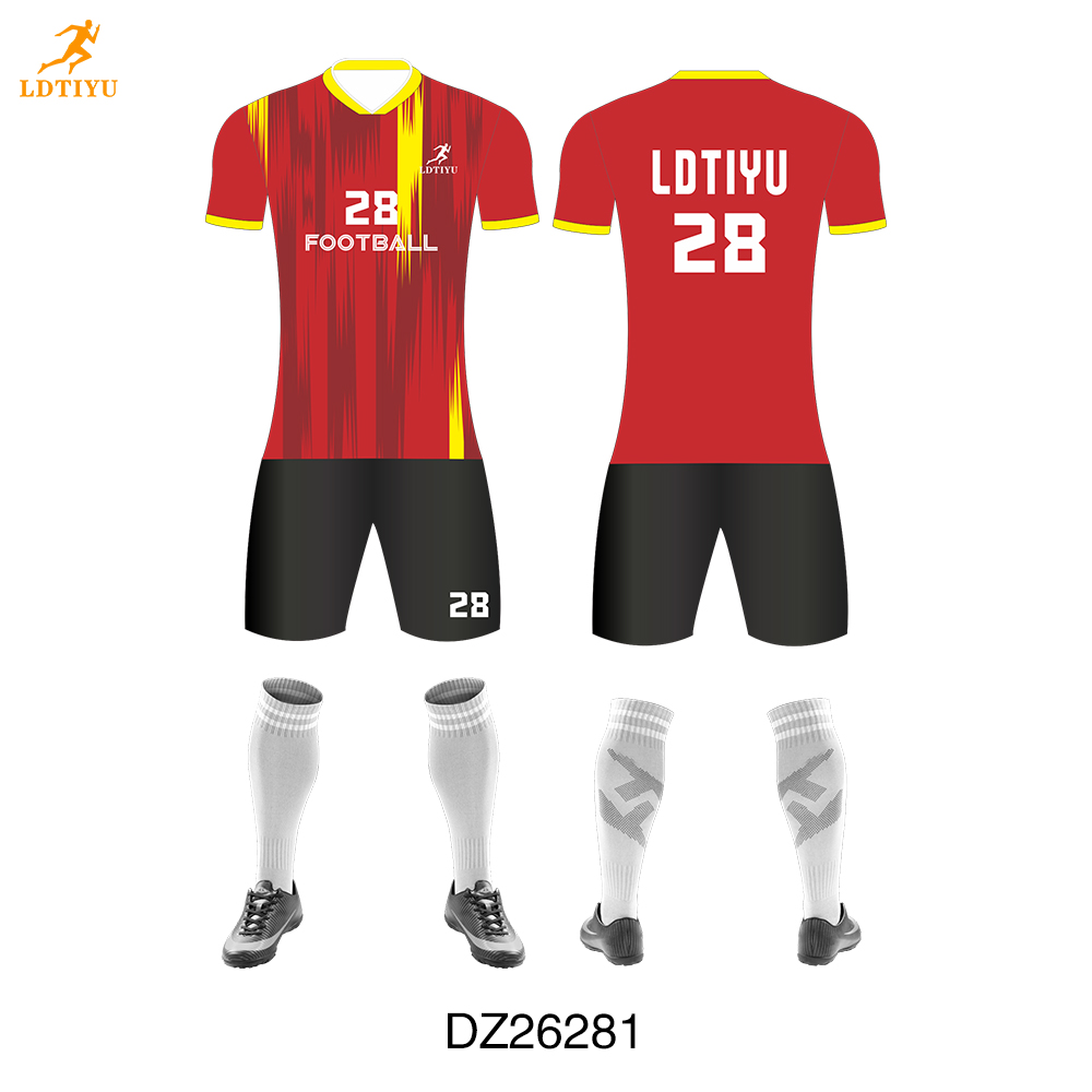 DZ26281