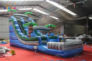 New Design Inflatable Pool With Slide Commercial Inflatable Palm Tree Water Slide For Sale