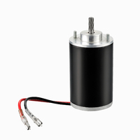 Pasokan Pabrik Motor Listrik DC Magnet Permanen Tanpa Inti Berkecepatan Tinggi 7500rpm, Sikat, 24V Daya Tinggi, Pemasangan Flens 35mm IE4