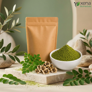Extrait de Moringa Oleifera en poudre, fournisseur en gros, qualité supérieure, Moringa Oleifera séché - Product Image 1