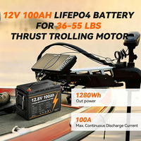 Batterie LiFePO4 12V 100Ah Groupe 31 avec BMS 100A intégré, durée de vie 6000 cycles, rechargeable, pour systèmes solaires, VR, applications marines et fourgons