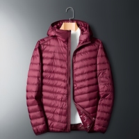 Veste d'hiver à capuche en duvet de canard blanc de haute qualité, personnalisée avec logo, col épais, coupe ample et chaude