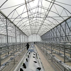 Tecnología <span class=keywords><strong>de</strong></span> invernadero gótico <span class=keywords><strong>de</strong></span> película plástica <span class=keywords><strong>de</strong></span> túneles múltiples para cultivo <span class=keywords><strong>de</strong></span> fresas agrícolas - Product Image 4