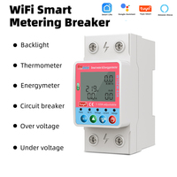RMshebei 2P Tuya Wifi disyuntor inteligente Din medidor de energía caja 63a Digital bajo sobrevoltaje protector de corriente monofásico