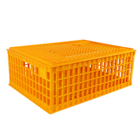 Cage de transport en plastique de haute qualité, pour volaille, canard, oie, pigeon