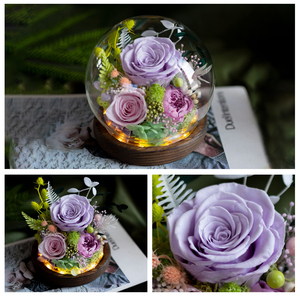 Eternal Rose Morthers Day Inmortal Blue Hydrangea Peony Everlasting Preserved Flower Clavel Forever Roses en Glass Dome Led - Product Image 6