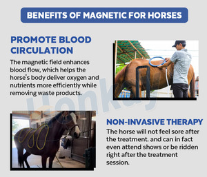 Peralatan Terapi magnetik pereda nyeri Equine PEMF, untuk rehabiliasi sendi kuda - Product Image 5