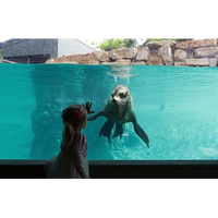 Panneau de piscine en acrylique transparent/clair écologique Leyu Factory Private Villa House, haute transmission lumineuse, 20 ans de garantie