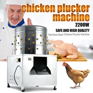 Maquina Para Pelar Pollos Stainless Steel, Mesin Pengelupas Bulu Ayam Bebek Unggas Listrik