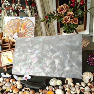Белая Швабра в форме мозаики из перламутровой облицовки - Product Image 1