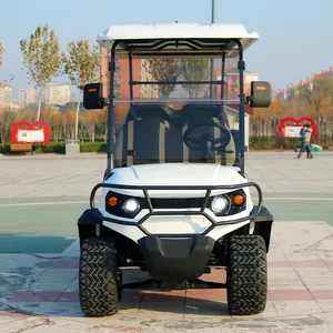 Street Legal Brand New 4 Wheel Electric Club Car Mini 2 4 6 Seats Off-road Electric Golf Cart