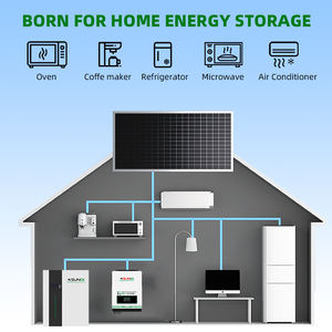 UAE在庫 SUNEX 5kWh 10kWh 15kWh 20kWh 25kWh 30kWh リチウム電池 <span class=keywords><strong>48V</strong></span> 600Ah <span class=keywords><strong>500Ah</strong></span> 400Ah 300Ah 200Ah 100Ah 太陽光発電システム用 - Product Image 3