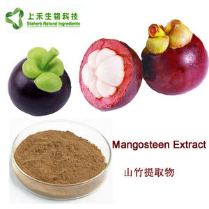 Bubuk <span class=keywords><strong>mangostin</strong></span> ekstrak kulit mangga, 1% polifenol mandostin-<span class=keywords><strong>98%</strong></span> - Product Image 6