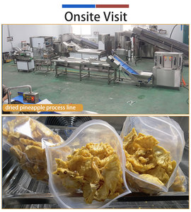 Customized Pineapple <b>Food</b> <b>Line</b> Pineapple Washing Peeling Cutting Drying Packing Machine for Pineapple <b>Process</b> Plant - Product Image 5