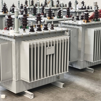 Transformador de Voltaje Trifásico ONAN de Aceite S11 50kVA 100kVA 200kVA 160kVA 500kVA 750kVA 1000kVA 10MVA 4MVA 11kV 15kV 22kV