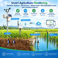 Capteur capacitif 2-en-1 de niveau d'eau et de température avec sortie RS485 Modbus 0-3V 0-5V et enregistreur de données sans fil 4G pour rizières