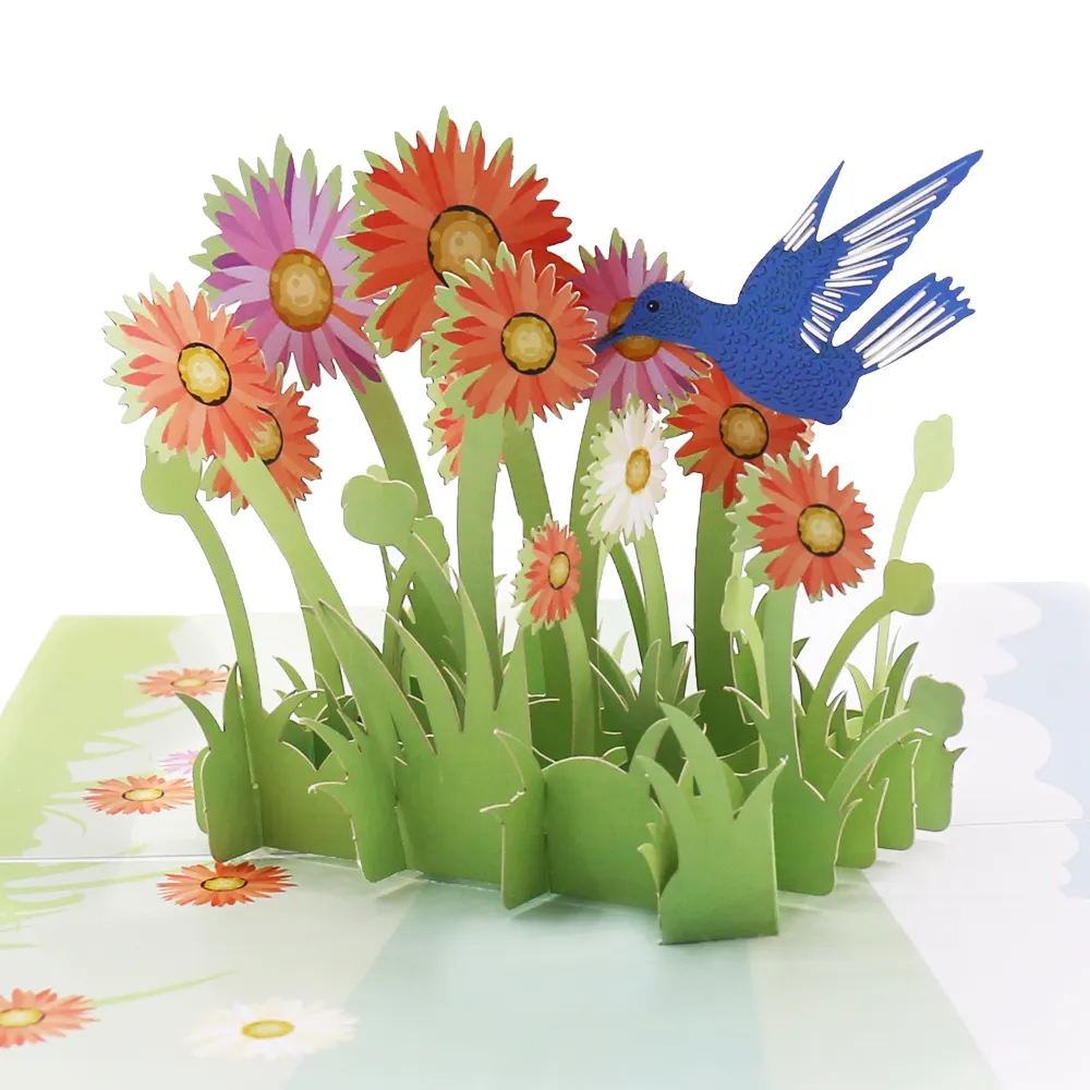 Carte de voeux pop-up biodégradable 3D Fleur Gerbera et Colibri Cadeau de Moher