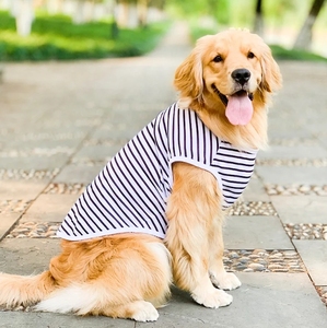 T-shirt d'été rayé en coton pour chien, pull moderne pour animaux de compagnie, pour Welsh Corgi, Samoyed, Husky, <span class=keywords><strong>Labrador</strong></span>, <span class=keywords><strong>Golden</strong></span> <span class=keywords><strong>Retriever</strong></span> - Product Image 4
