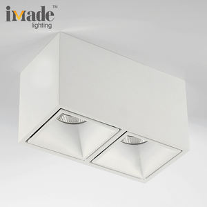 2*10W doble cabeza Cob <span class=keywords><strong>LED</strong></span> iluminación de techo interior <span class=keywords><strong>Rectangular</strong></span> foco <span class=keywords><strong>superficie</strong></span> montada <span class=keywords><strong>Downlight</strong></span> para Home Hotel - Product Image 5