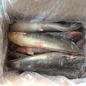 <span class=keywords><strong>Poisson</strong></span> congelé élevé en ferme, <span class=keywords><strong>poisson</strong></span>-chat - Product Image 3