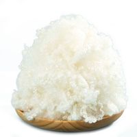 Échantillon de coton PP rembourré en fibres courtes de polyester creuses tridimensionnelles, coton peluche recyclé GRS, pour béton, vente en gros, 100g
