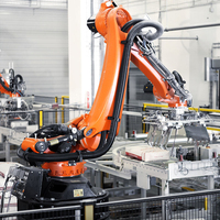 Palettiseur robotisé KUKA avec bras et pince pour le ciment, les aliments pour animaux, les sacs de 25 kg et 50 kg, les cartons et les boîtes – Machine de palettisation robotisée