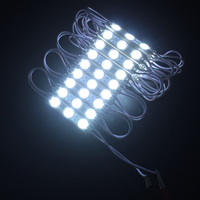 Haute luminosité IP65 3-Light 1.5W LED Modules SMD 2835 Injection Star Design Logo Type Publicité Canal Lettres 12V