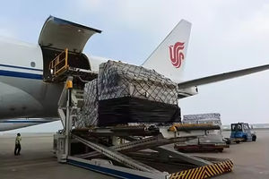 पूर्व चीन से योकोहामा जापान एक्सप्रेस सेवा शा ओजी दरवाजे से छोटे पैकेज व्यापार नमूना शिपिंग बीमा 24/7 समर्थन - Product Image 3