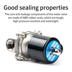 Valve 1/<span class=keywords><strong>2</strong></span> inci katup Solenoid pneumatik DC24V katup saklar air AC220V kontrol air 304 baja tahan karat biasanya tertutup - Product Image 4