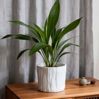 7.5*7cm Desain Tahan Lama Estetis Pot Tanaman Luar Ruangan Patio Balkon Vas Kotak Bunga Alat Penanaman Dekoratif untuk Rumah & Taman