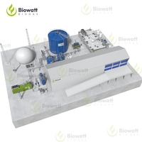 Generador de Biogás de Pequeño a Industrial y Motor de Biogás para Instalación de Proyectos de Plantas de Energía de Biogás