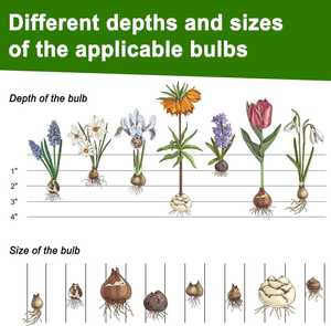 Outil de plantation de bulbes de jardin à long manche, <span class=keywords><strong>coupe</strong></span>-bordures manuel <span class=keywords><strong>pour</strong></span> pelouse de jardin, <span class=keywords><strong>coupe</strong></span>-bordures <span class=keywords><strong>pour</strong></span> jardinage - Product Image 3