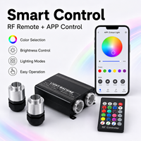 25W Dual-Head Glasfaser-Sternenhimmel-Beleuchtungsset RGB LED-Lichtquelle mit APP RF-Fernbedienung